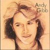 Andy Gibb(1991)